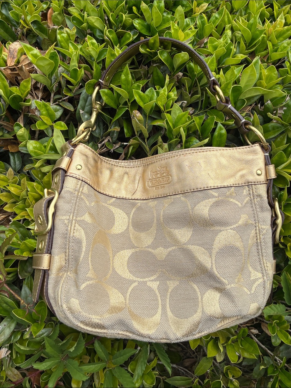 Over the Should Y2K Coach Purse - Gold with Lime Green Lining!